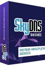 SkyDNS Бизнес на 10 ПК (лицензия на 1 год) [Цифровая версия]