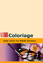 AKVIS Coloriage Business [Цифровая версия]
